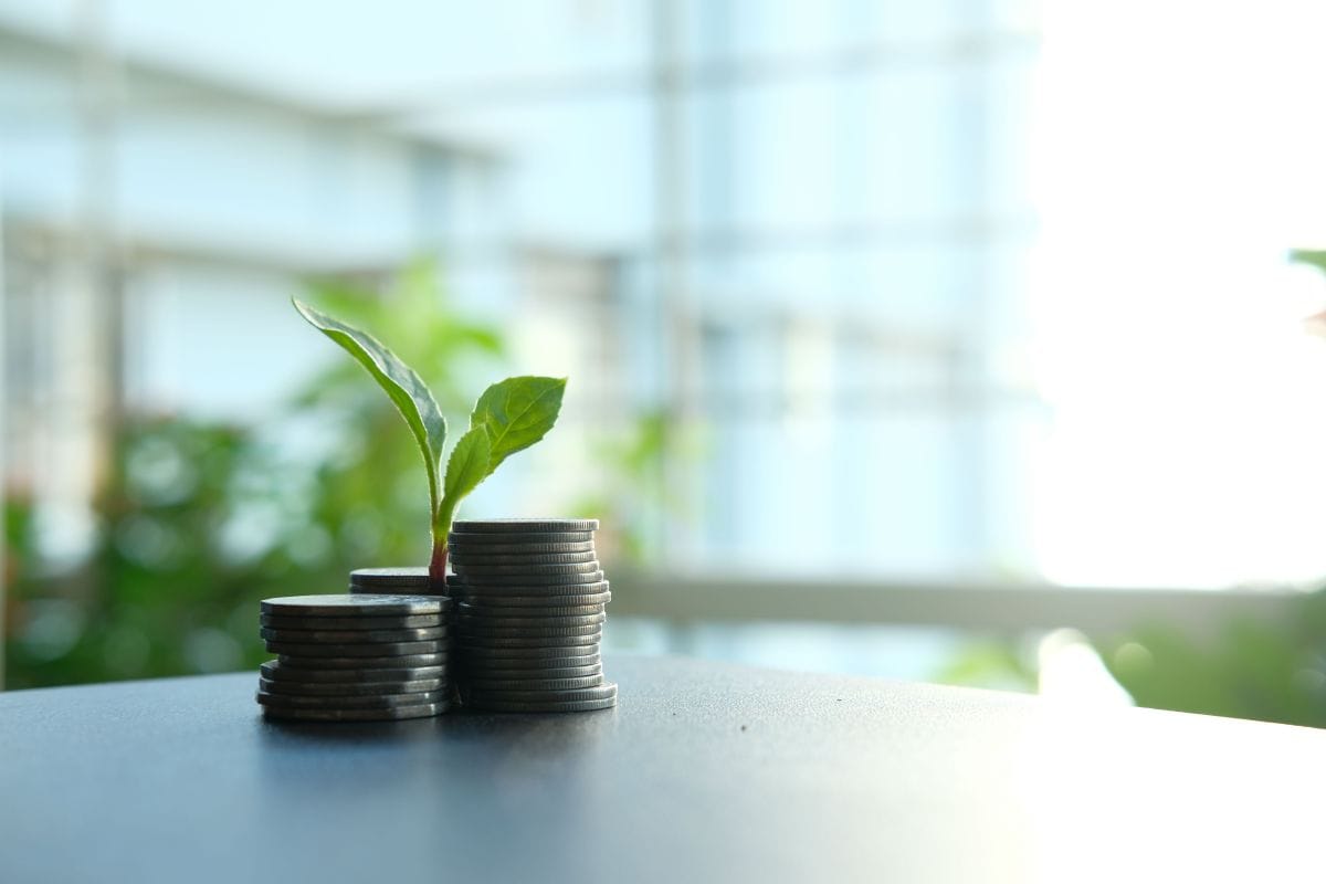 sustainable finance